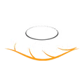 ikona Arc Flow