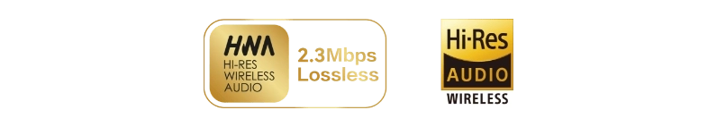 Logo Hi-Res Audio WIRELESS