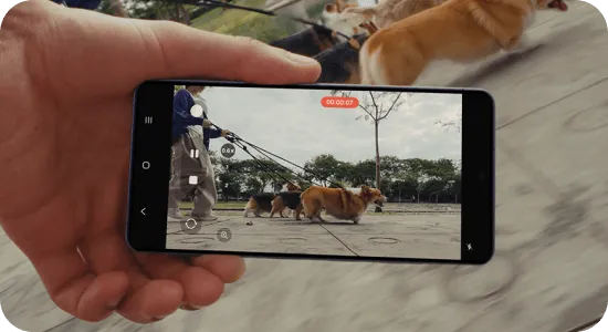 Osoba trzyma smartfon i rejestruje spacer z psami w parku.