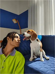 AI Cutout