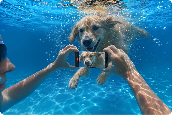 Podwodne fotografowanie pływającego psa za pomocą smartfona REDMI