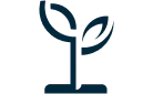 Program Wymiana - nowy iPhone